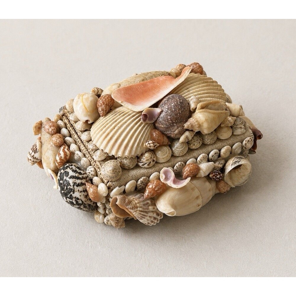 Vintage Seashell Encrusted Box Trinket / Jewelry Lidded Box 4"